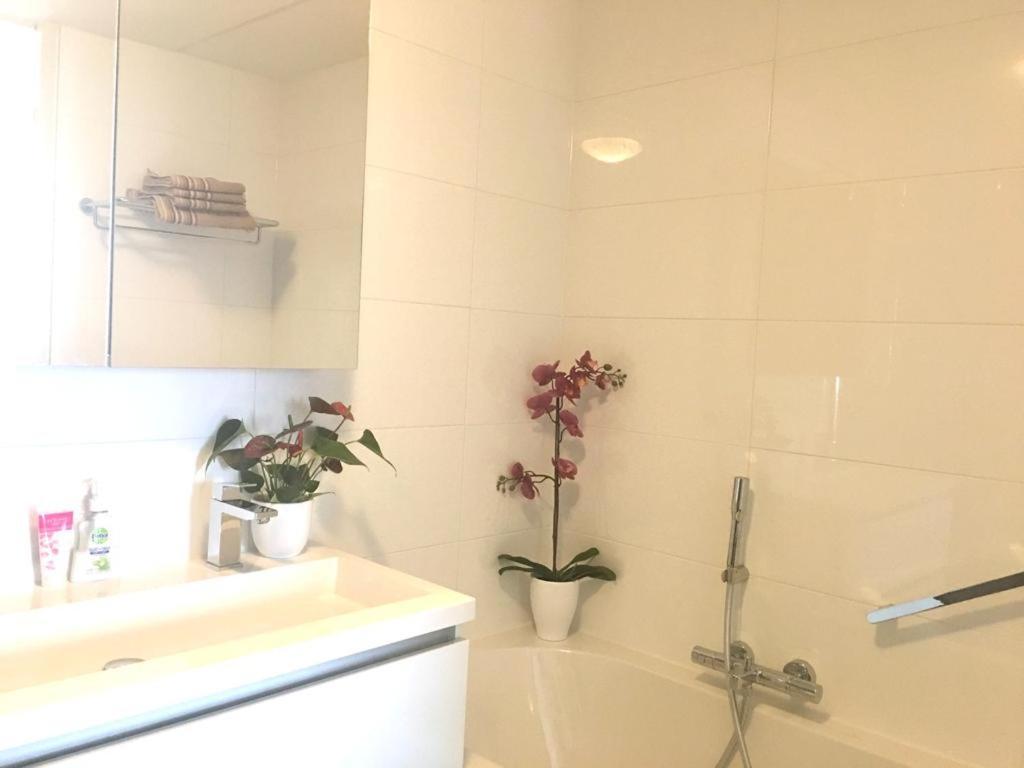 Home Inn Zandvoort The First Floor, 4 Persons, 2 Bedrooms, Free Parking Kültér fotó